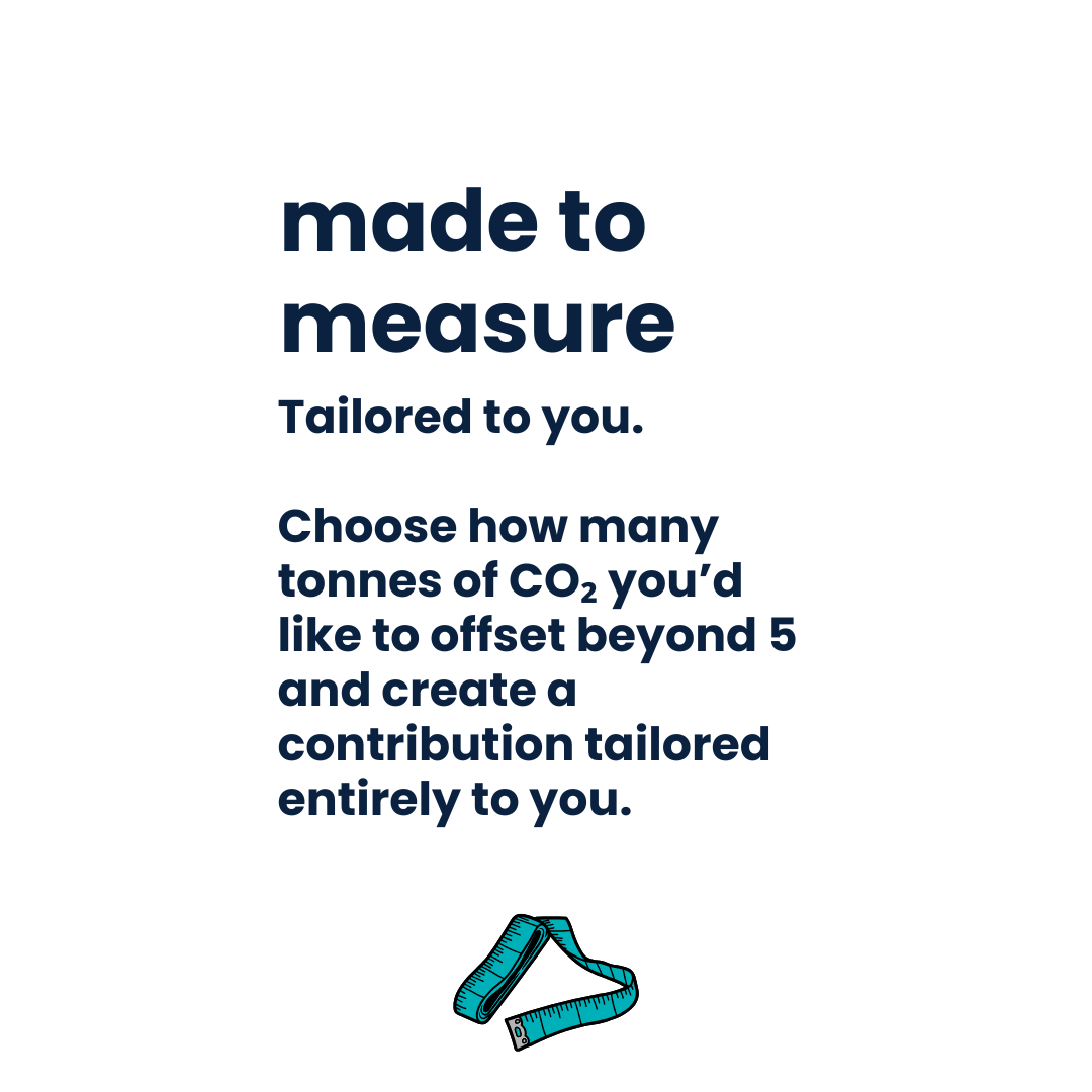 Made to Measure